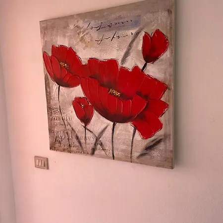 Apartamento Casa Del Minatore 1 -